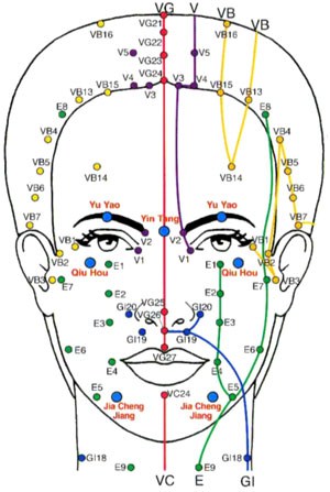 Visage avec points de pression pour une pratique du protocole Kobido